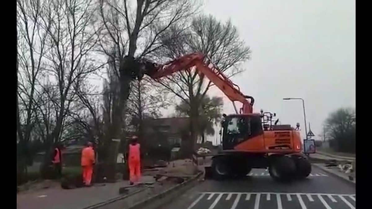 Cet arbre est plus solide que son camion grue, c'est l'accident (Vidéo) !