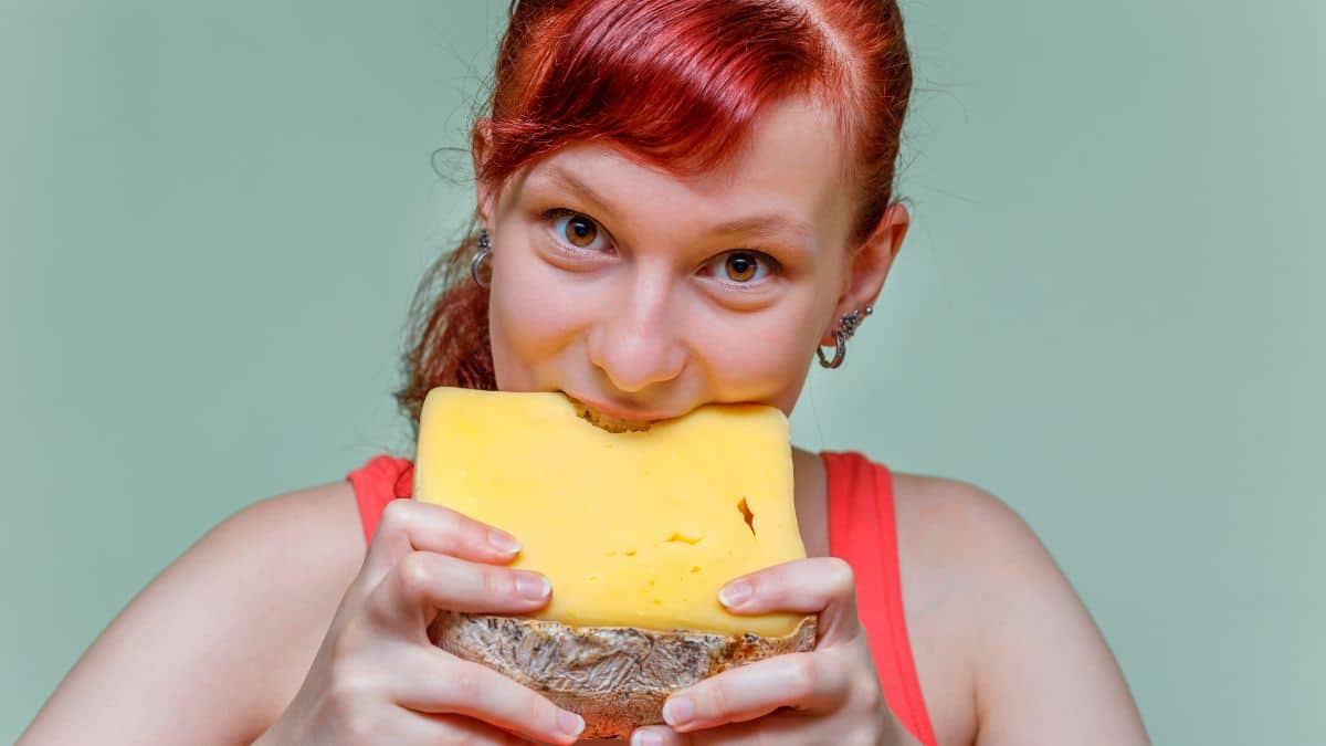 Ne mangez plus ce fromage adoré de tous il est dangereux pour la santé