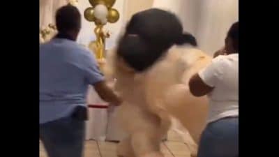 Sa baby shower dégénère et 2 personnes déguisées en bébé finissent par se battre (Vidéo) !