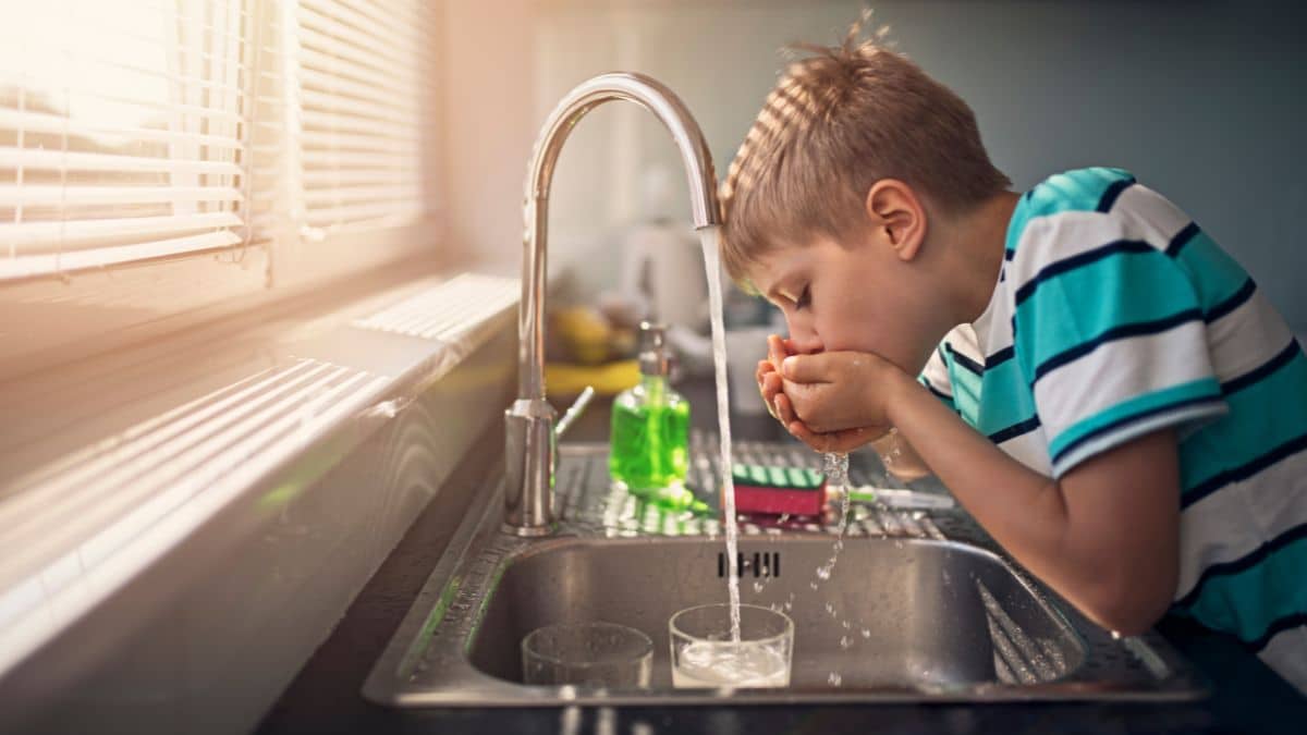 Eau du robinet polluée toutes les astuces à connaître pour purifier l'eau avant de la boire