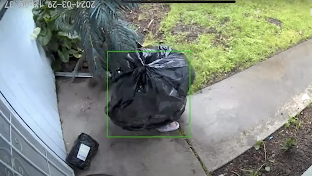 Ce voleur se déguise en sac poubelle pour voler tous les colis du voisinage