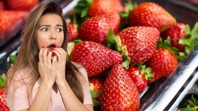 Elle achète une barquette de fraises Lidl et trouve un animal vivant à l'intérieur