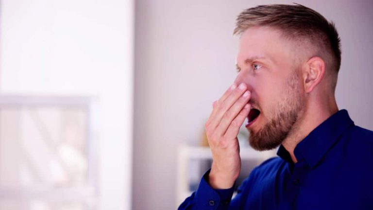 Ces 3 aliments magiques pour ne plus avoir mauvaise haleine même le matin