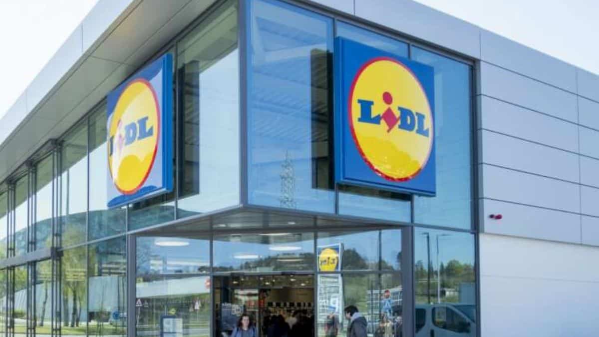 Tout le monde va s’arracher ces baskets LIDL pour prendre soin de ses pieds