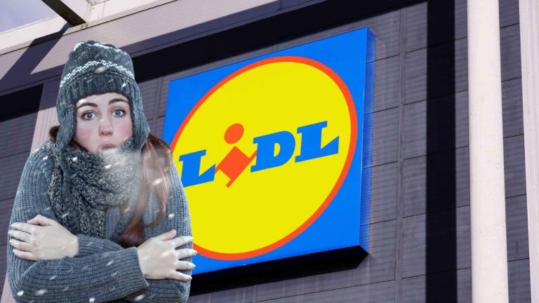 Les 3 doudounes LIDL parfaite pour lutter contre le froid à moins de 20 euros