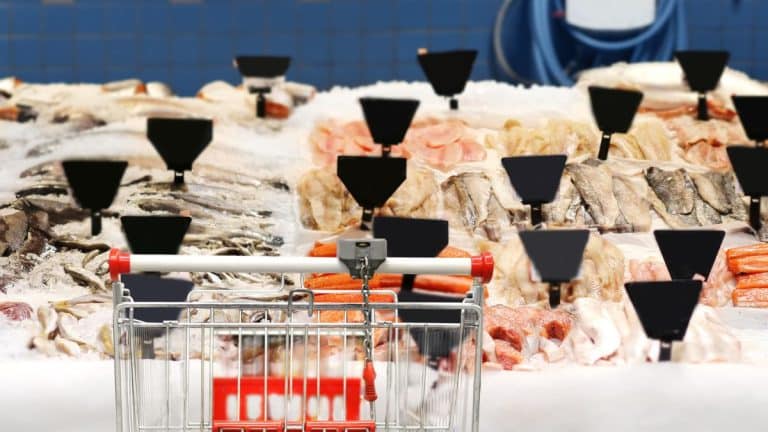 Vous voulez manger un bon poisson, il faut l’acheter dans ce supermarché selon 60 millions de consommateurs