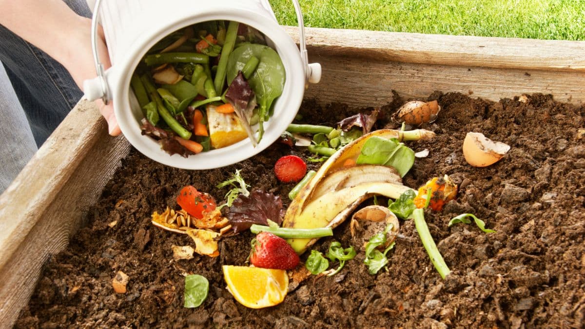 9 astuces infaillibles pour avoir un compost sans moucherons ni dedans ni autour