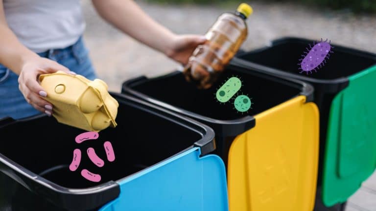 Ces ingrédients naturels pour nettoyer votre poubelle et exterminer toutes les bactéries et les microbes