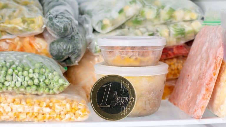 Cette astuce géniale avec des pièces de monnaie dans le congélateur pour éviter les intoxications alimentaires
