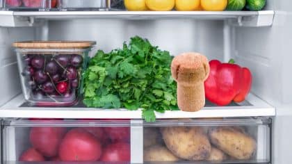 Ce geste à faire rapidement dans son frigo et congélateur pour faire baisser sa facture d’électricité de 30%