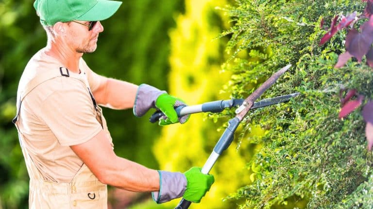 Des millions de Français risquent une amende de 1500 euros à cause de cet oubli dans le jardin