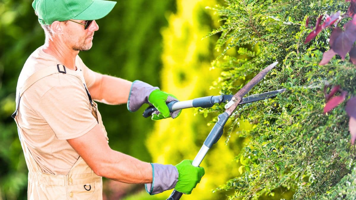 Des millions de Français risquent une amende de 1500 euros à cause de cet oubli dans le jardin