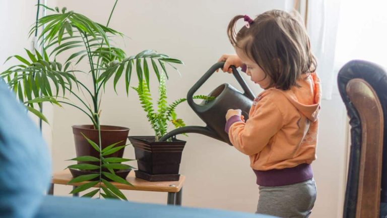 Lidl fait mieux que IKEA avec cette nouvelle jardinière design et très économique