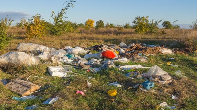 Une lourde amende et une peine de prison si vous jetez vos déchets en pleine nature