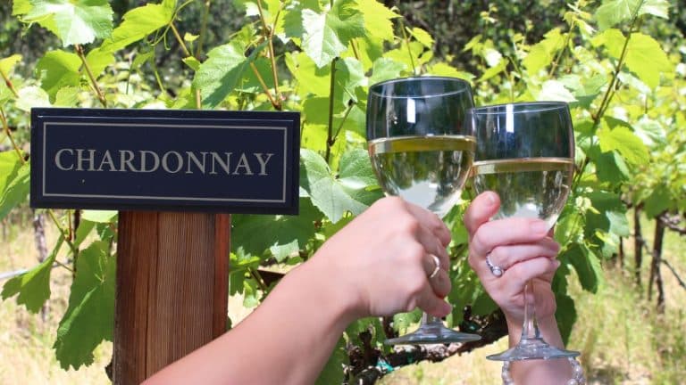 Ce chardonnay est l’un des meilleurs au monde et ne coute que 5,60 euros la bouteille