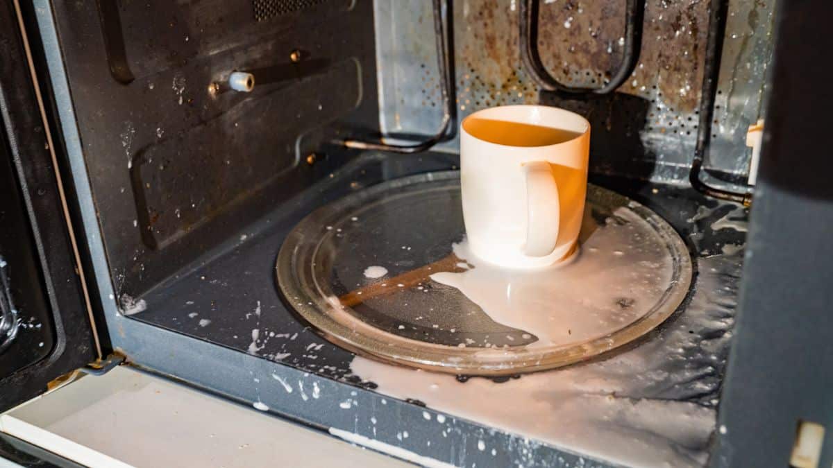 Cette raison pour laquelle vous ne devez jamais chauffer de lait ou d'eau au micro-ondes