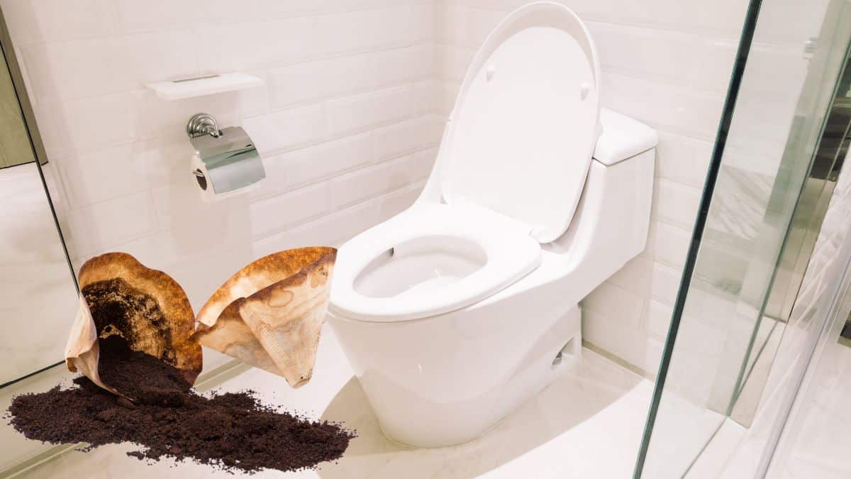 L’astuce imparable du marc de café dans les WC pour venir facilement à bout de ce souci très fréquent