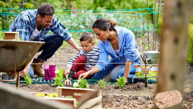 Ne jetez plus vos bouchons de liège usagés, c’est une mine d’or pour votre jardin