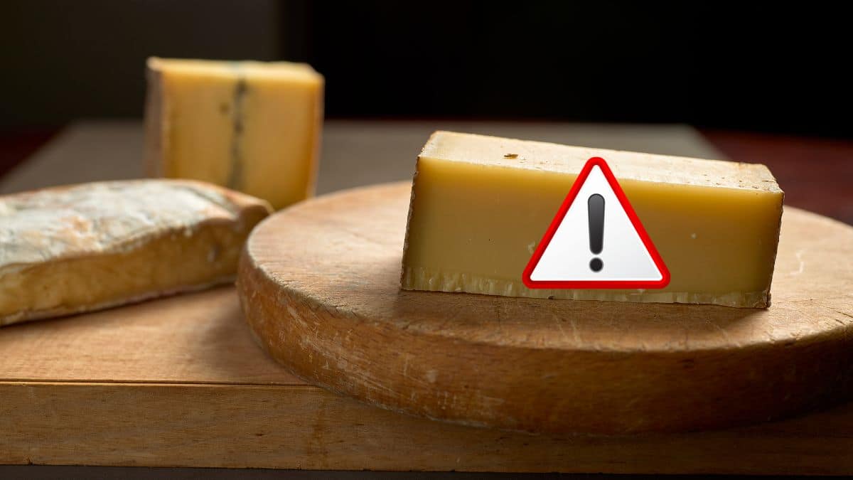 Ce fromage adoré de tous va bientôt disparaitre après ces révélations très choquantes ?