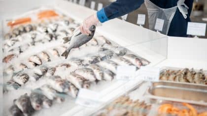 Intermarché, Leclerc et Carrefour: rappel urgent de ce poisson adoré de tous, il ne faut plus en manger car il est contaminé