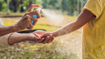 Anti-moustiques : ce que disent vraiment les experts sur l’efficacité des produits populaires
