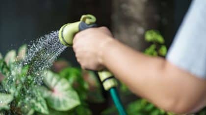 Une lourde amende si vous arrosez votre jardin en ce moment dans ces départements
