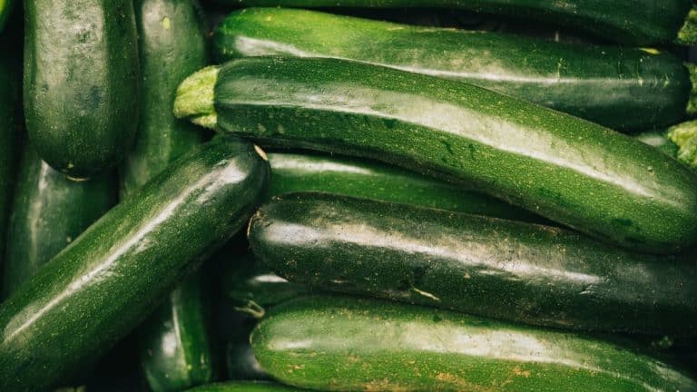 Cette mauvaise habitude de beaucoup avec les courgettes est dangereuse pour la santé