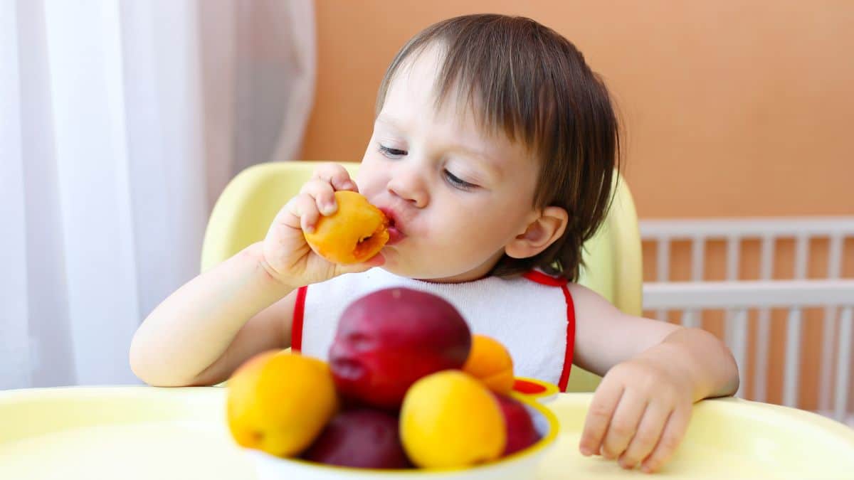 Ces fruits peu sucrés parfait pour les journées chaudes
