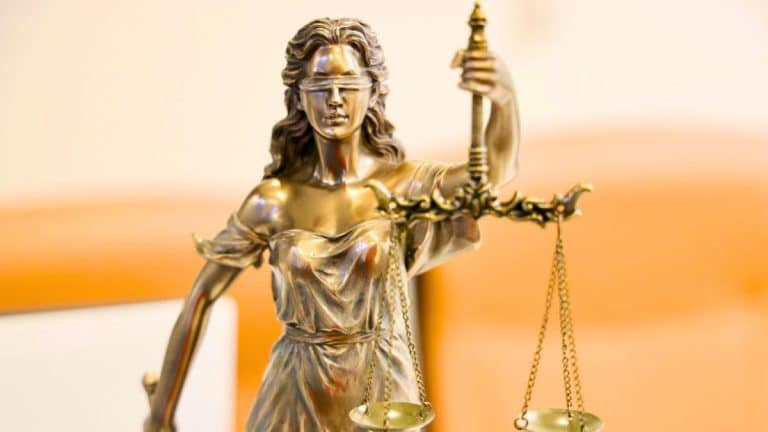 Procès de Cédric Jubillar: son fils Louis l’accuse à la barre