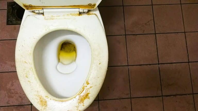 Calcaire : éliminez-le des toilettes et des robinets sans bicarbonate avec cette astuce radicale