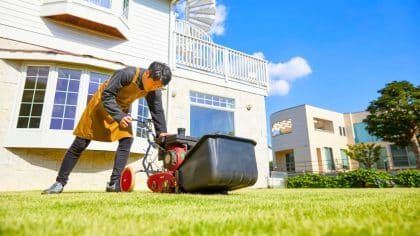 Gazon: faites ces 3 actions indispensables avant le 23 octobre pour un printemps sans mauvaises herbes