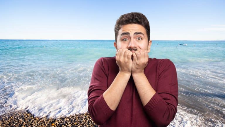 Sargasses: un ruban brun de 8 000 km relie l’Afrique aux Amériques dans l’Atlantique et menace les côtes en 2025