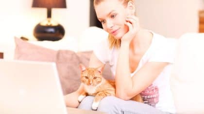 Chat: un expert révèle la durée maximale qu’il peut rester seul sans souffrir de solitude, plus court que prévu