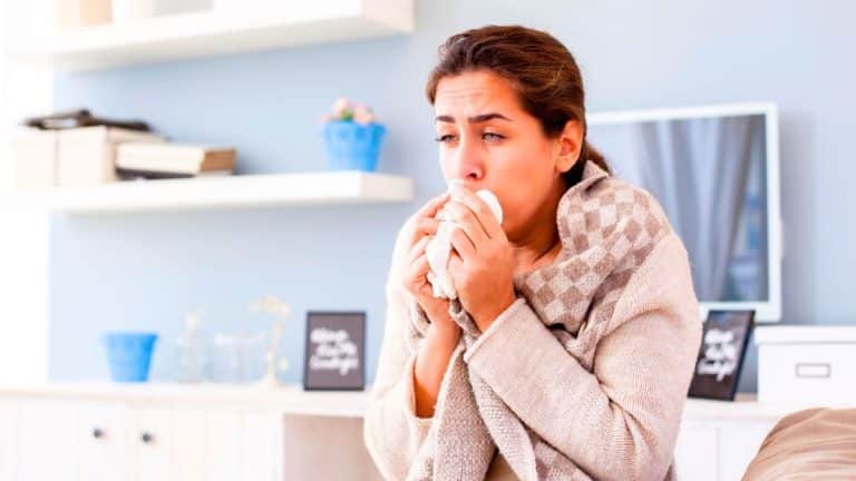 Chauffage : 23°C à l’intérieur par -6°C dehors sans radiateur, la méthode passive évite d’allumer tout l’hiver