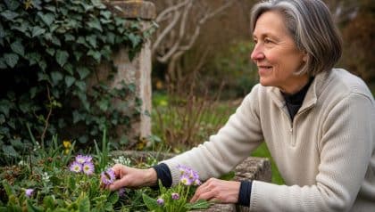 DivertissonsNous - Abeilles en hiver: les plantes indispensables qui les nourrissent quand tout dort au jardin