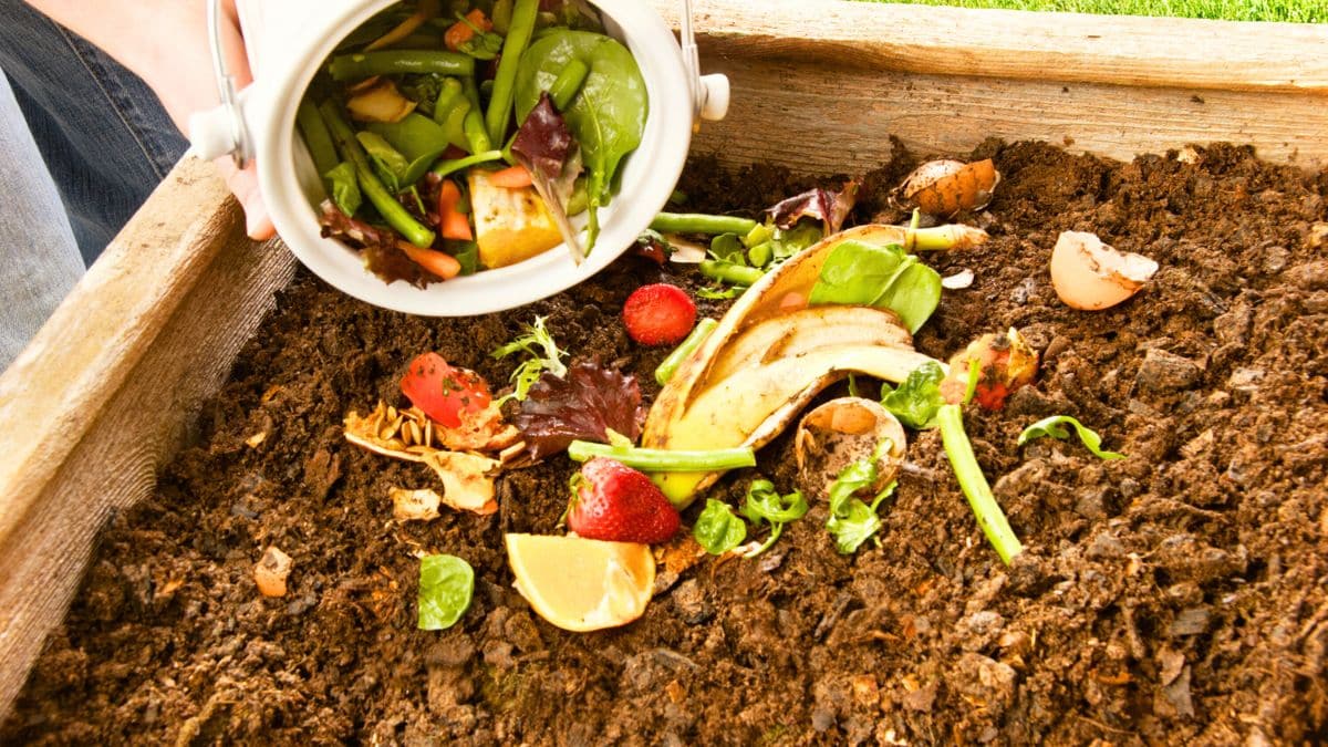 Compost en hiver: ce geste avec les épluchures booste massifs et pelouse