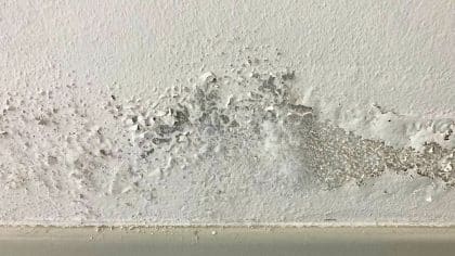 Humidité: cette technique peu connue la fait disparaître chez soi