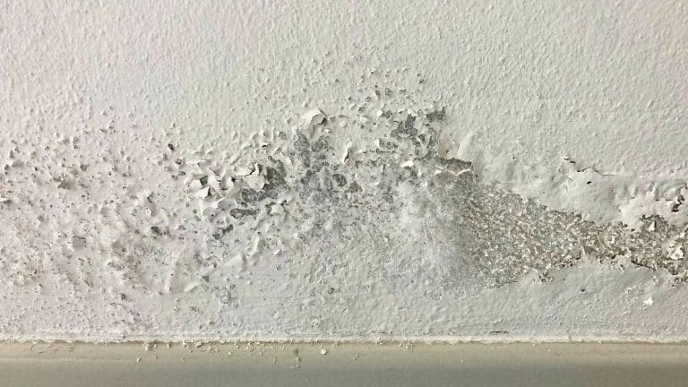 Humidité: cette technique peu connue la fait disparaître chez soi