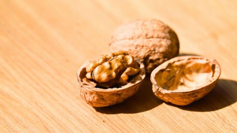 Noix : l’interview qui change votre vision et vous aide à doser sans compter