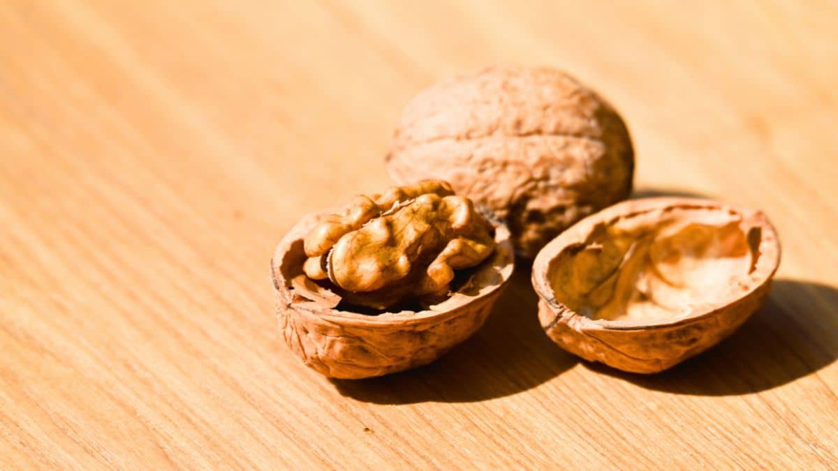 Noix : l’interview qui change votre vision et vous aide à doser sans compter