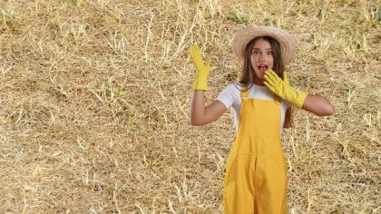 Pelouse jaunie et pleine de mousse : le geste d’automne validé par les experts la rend plus verte durablement