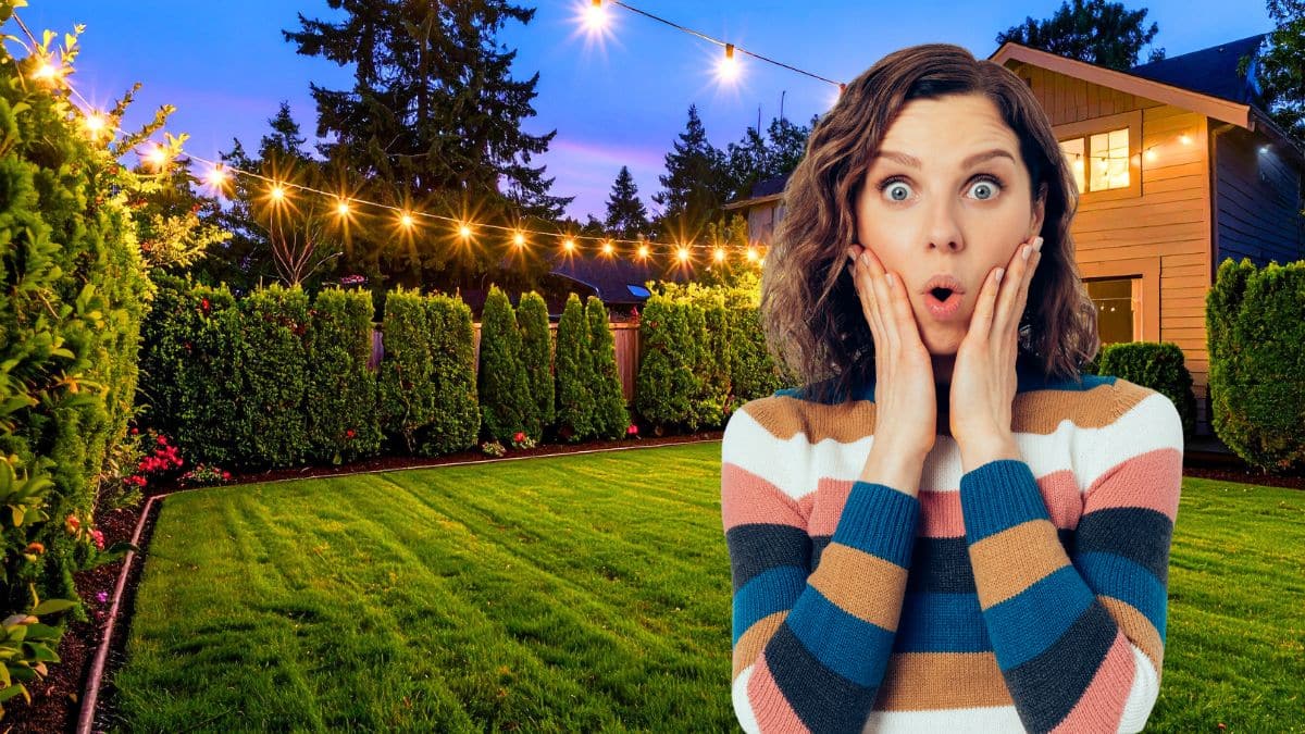 Petit mammifère protégé : les signes discrets qui prouvent qu’il dort déjà dans votre jardin la nuit