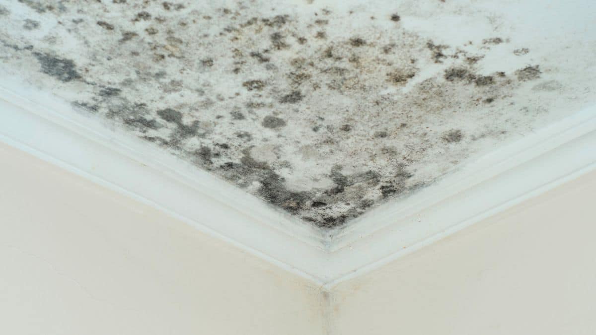 Bathroom humidity in winter: one low-cost step improves air quality and prevents mold