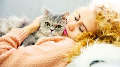 Chat: pourquoi il vous réveille chaque matin et comment y mettre fin