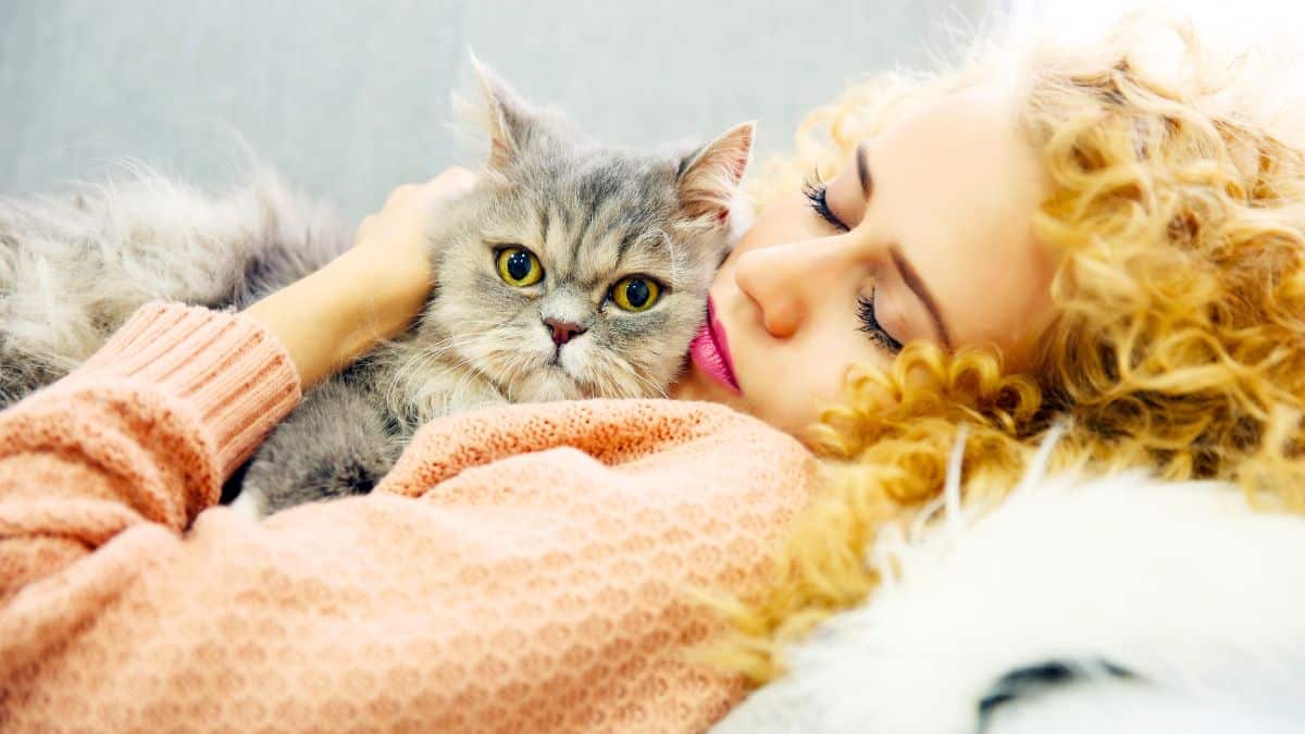 Chat: pourquoi il vous réveille chaque matin et comment y mettre fin