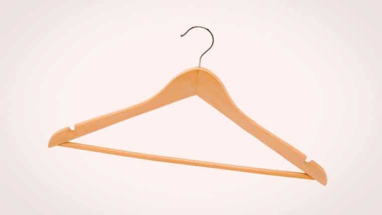 Cintre pour sauver les oiseaux cet hiver: astuce utile ou faux espoir, analyse sans filtre