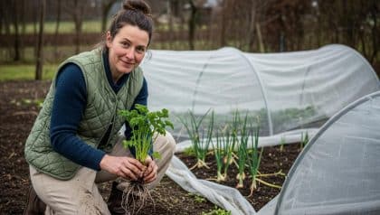 DivertissonsNous - Cold-hardy vegetables deliver early spring harvests when planted in January despite frost