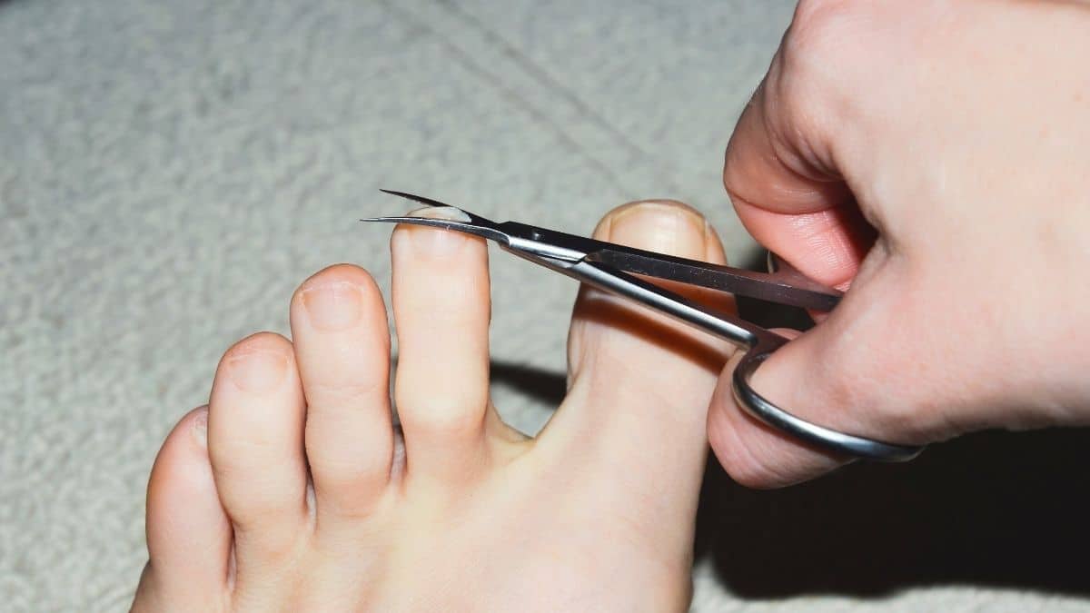 Couper les ongles de pieds: ce bain maison de 10 minutes évite douleurs et accidents
