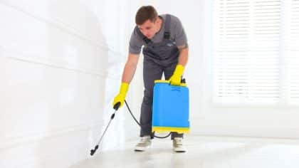 House centipede: the bathroom tip that gets rid of this venomous insect fast