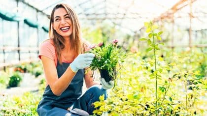 Jardiniers : de plus en plus laissent la terre se tasser cet hiver pour de meilleurs semis au printemps
